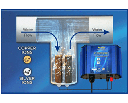 Copper Silver Ionization